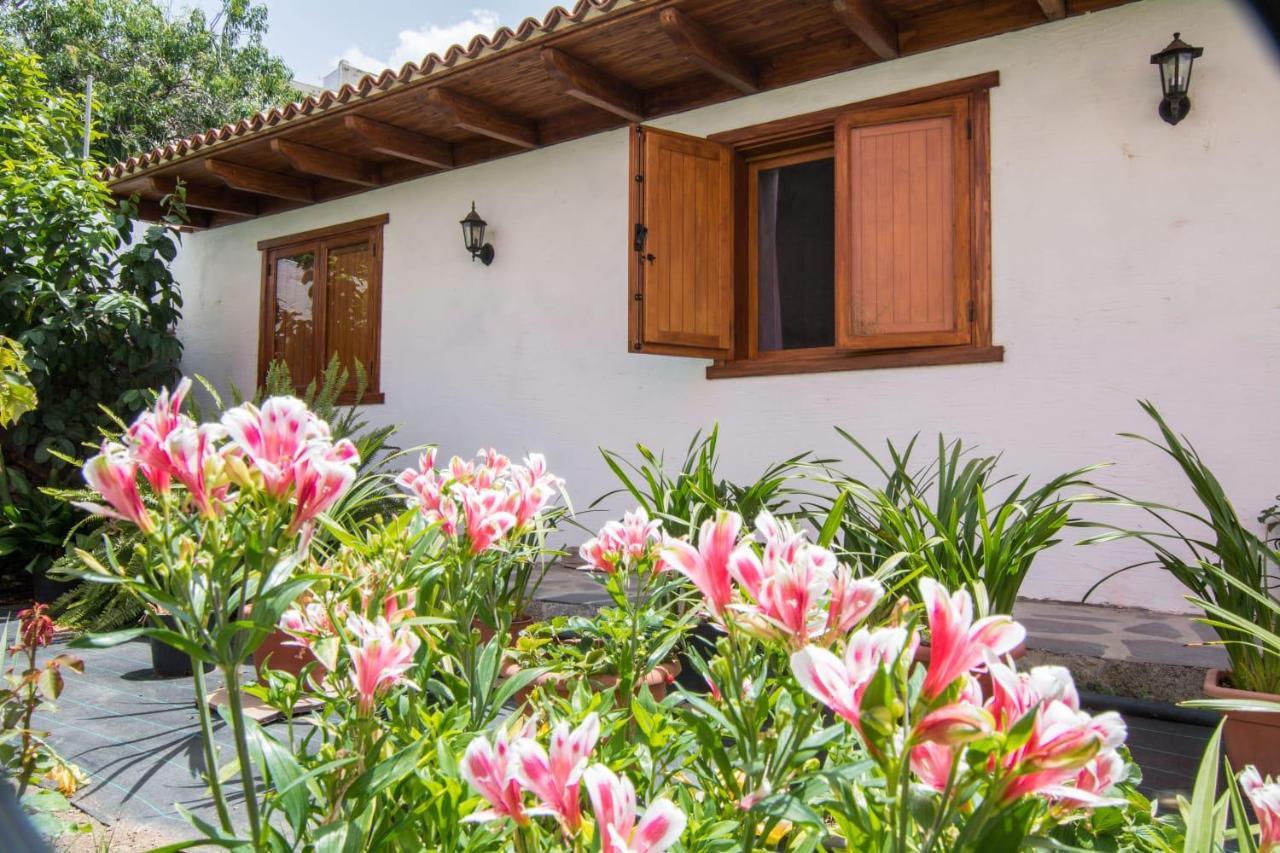 Cozy House Casa Vero Mai Icod De Los Vinos Dış mekan fotoğraf