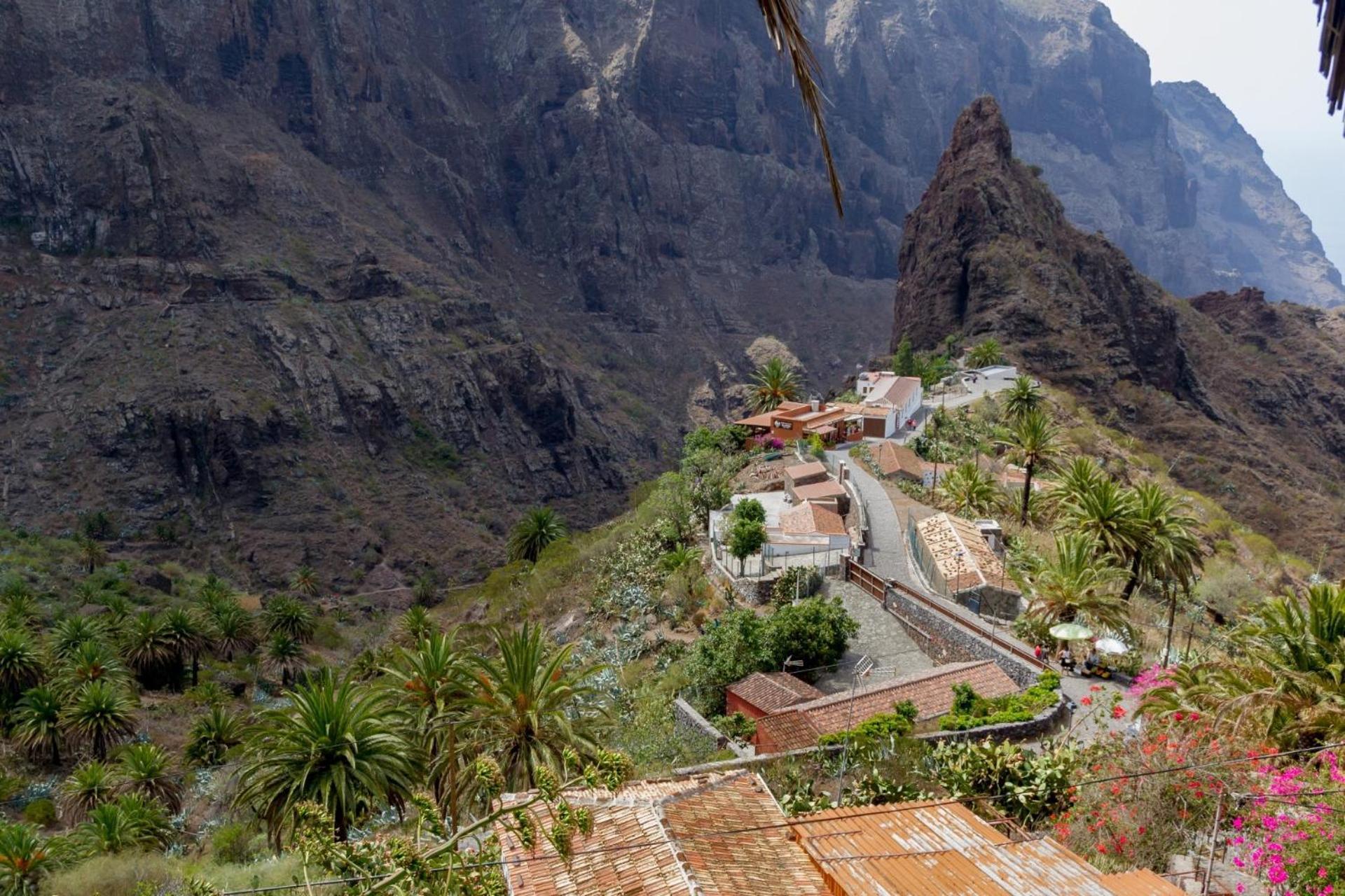 Cozy House Casa Vero Mai Icod De Los Vinos Dış mekan fotoğraf