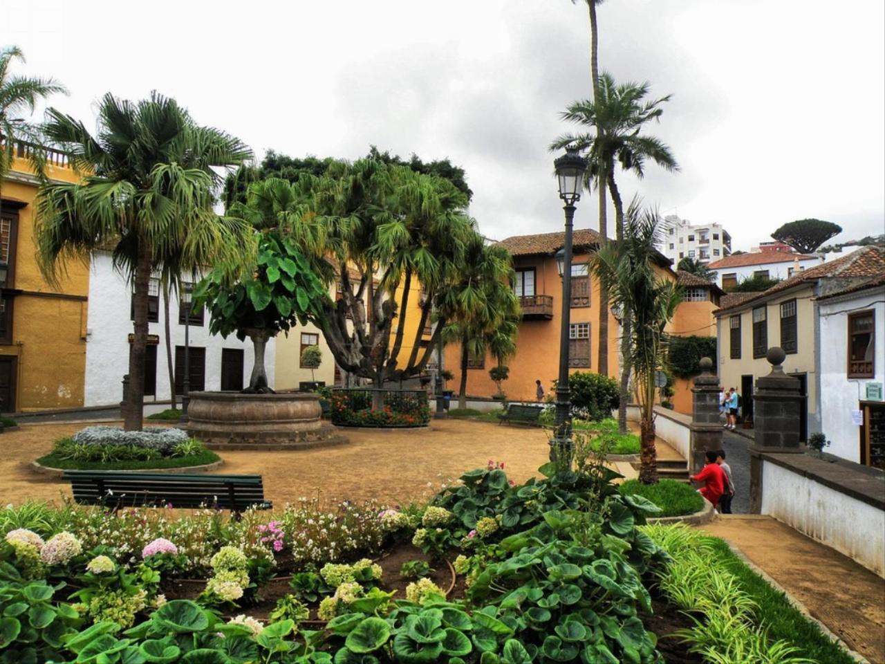 Cozy House Casa Vero Mai Icod De Los Vinos Dış mekan fotoğraf